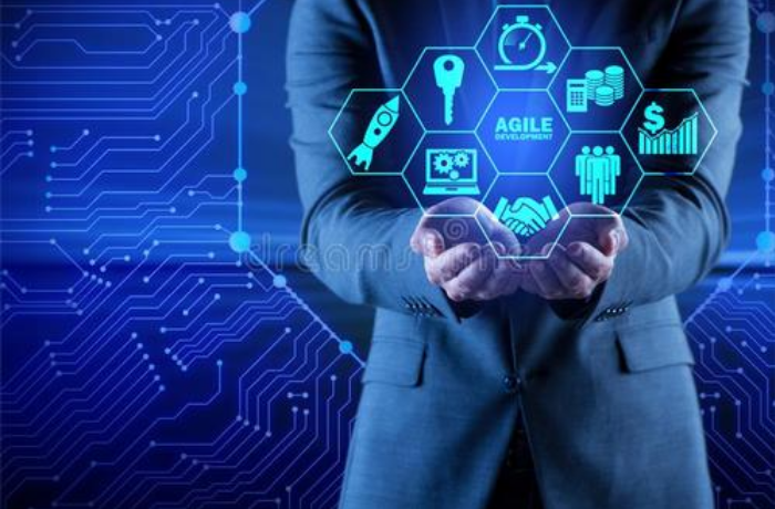 开云电子体育_开云（中国）官网和软件外包的合作模式和管理方法