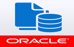 Oracle数据库管理工具有哪些?-北京开云电子体育_开云（中国）官网公司