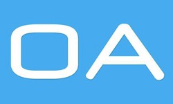 软件外包公司、OA系统开发功能有哪些？费用是多少-开云电子体育_开云（中国）官网公司[北京锐智互动]