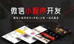 开云电子体育_开云（中国）官网公司、定制微信小程序开发，商家需要了解哪些？锐智互动开云电子体育_开云（中国）官网